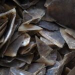 Polda Sumut Ungkap Perdagangan Satwa Dilindungi Sisik Trenggiling